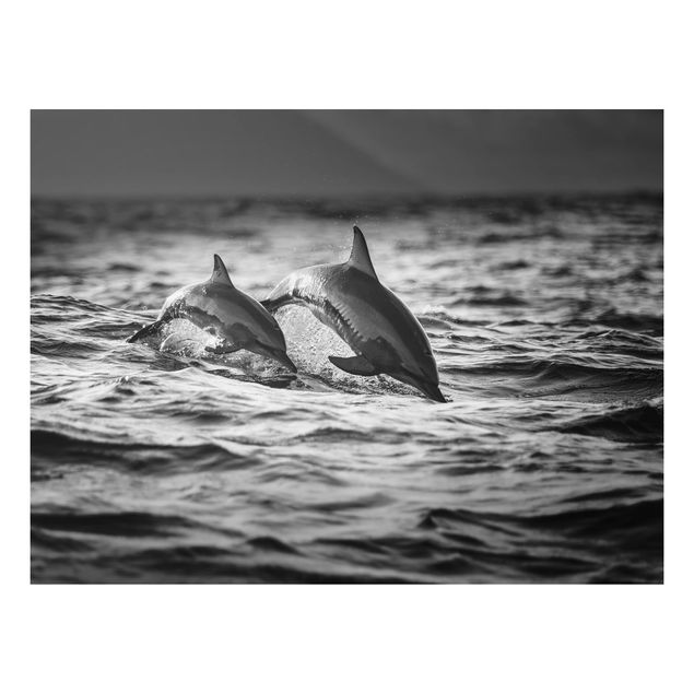 Cuadros de peces Two Jumping Dolphins