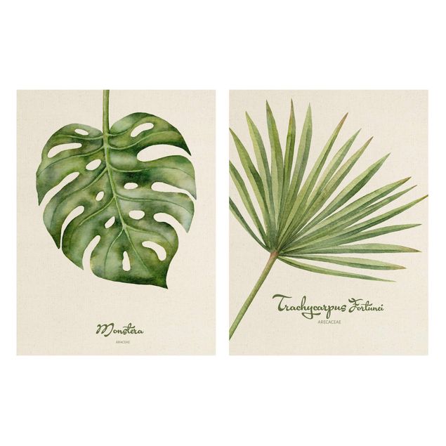 Cuadros modernos Watercolour Botany Duo
