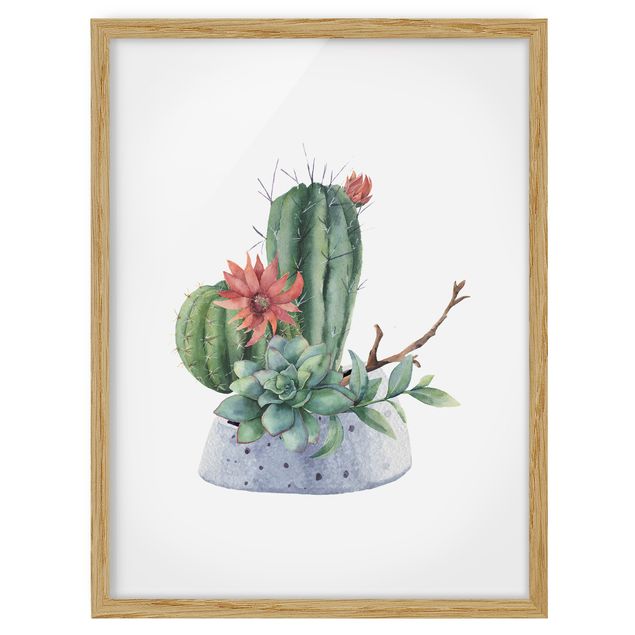 Cuadros de flores Watercolour Cacti Illustration