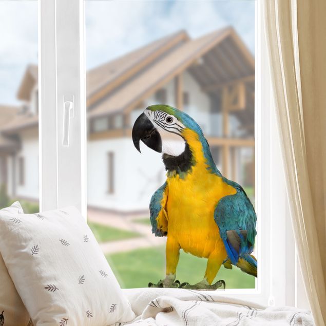 Decoración habitación infantil Macaw