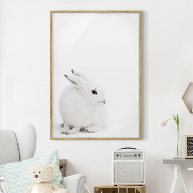 Decoración habitacion bebé Arctic Hare