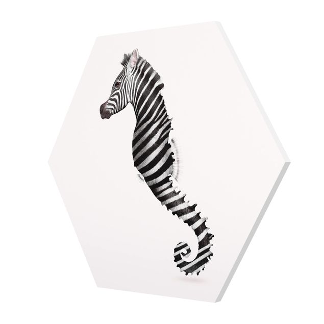 Cuadros decorativos modernos Seahorse With Zebra Stripes