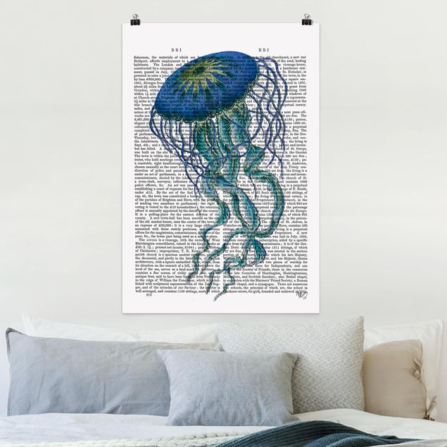 Decoración en la cocina Animal Reading - Jellyfish