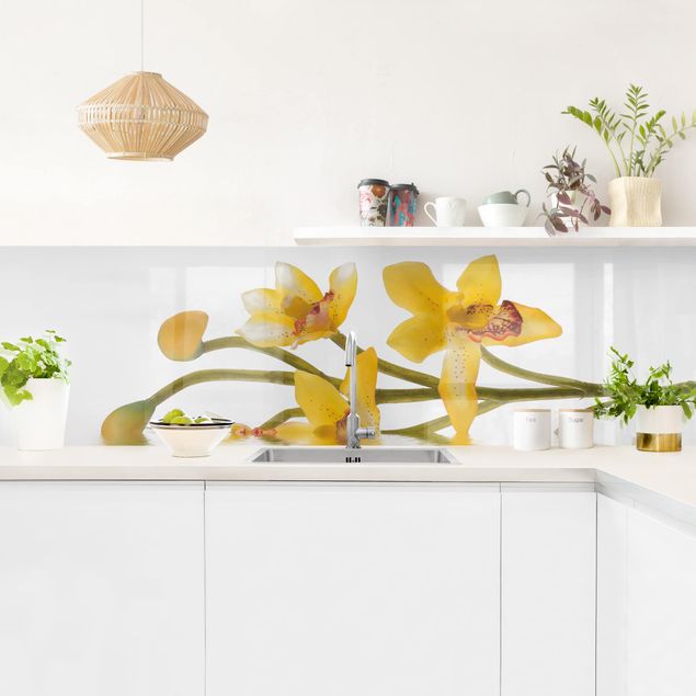 Salpicadero cocina adhesivo flores Saffron Orchid Waters