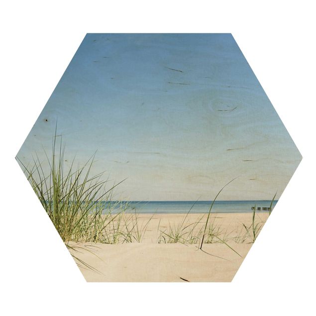 Cuadros hexagonales Baltic Sea Coast