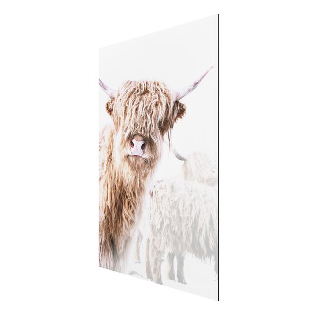 Cuadros infantiles animales Highland Cattle Karlo