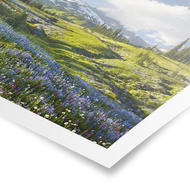 Póster flores Mountain Meadow With Flowers In Front Of Mt. Rainier