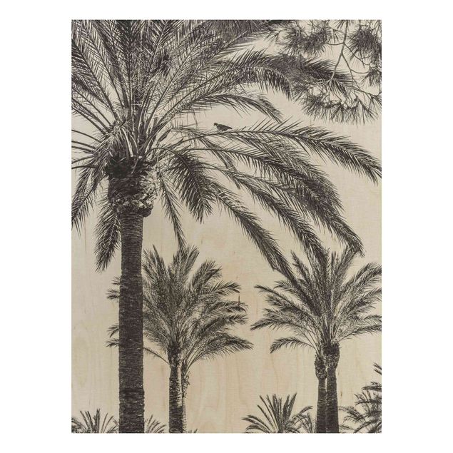 Cuadros de madera flores Palm Trees At Sunset Black And White