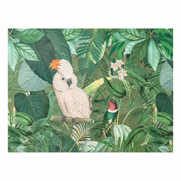 Cuadros de plantas Vintage Collage - Kakadu And Hummingbird