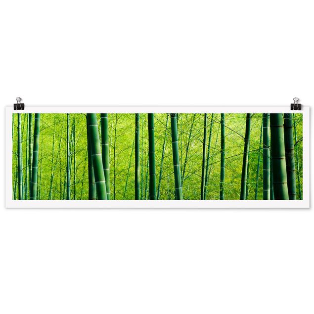 Cuadro con paisajes Bamboo Forest