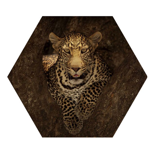 Hexagon Bild Holz - Leopard ruht auf einem Baum