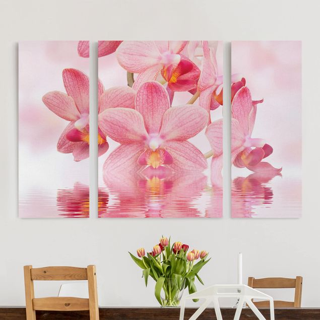 Cuadros de orquideas Light Pink Orchid On Water