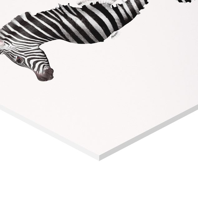 Cuadros en blanco y negro Seahorse With Zebra Stripes