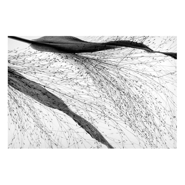 Tableros magnéticos flores Delicate Reed With Subtle Buds Black And White