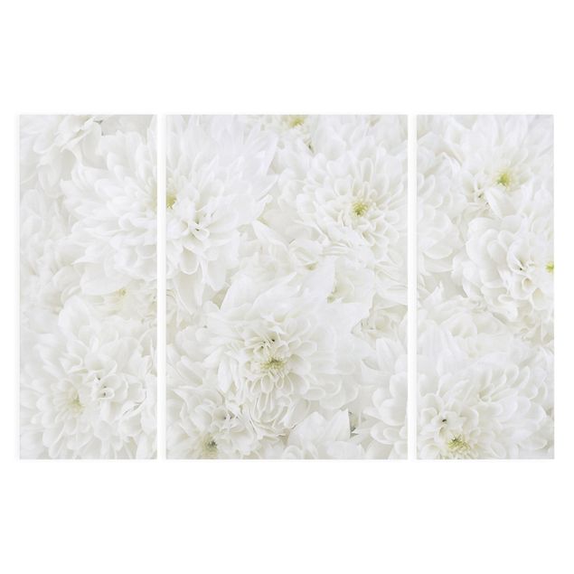Cuadros Dahlias Sea Of Flowers White
