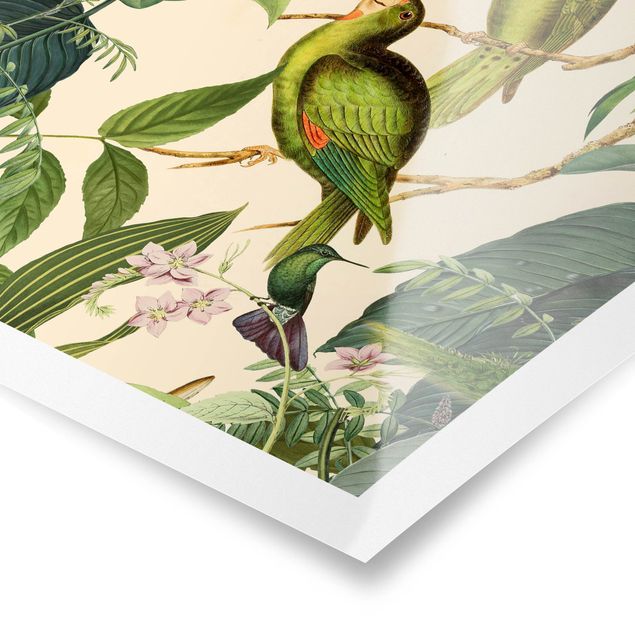 Cuadros tonos verdes Vintage Collage - Parrots In The Jungle