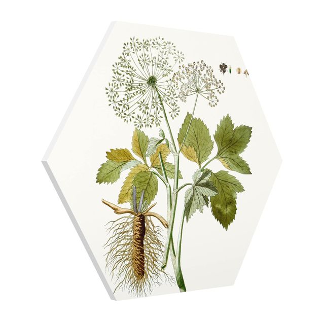 Cuadros decorativos modernos Wild Herbs Board IV