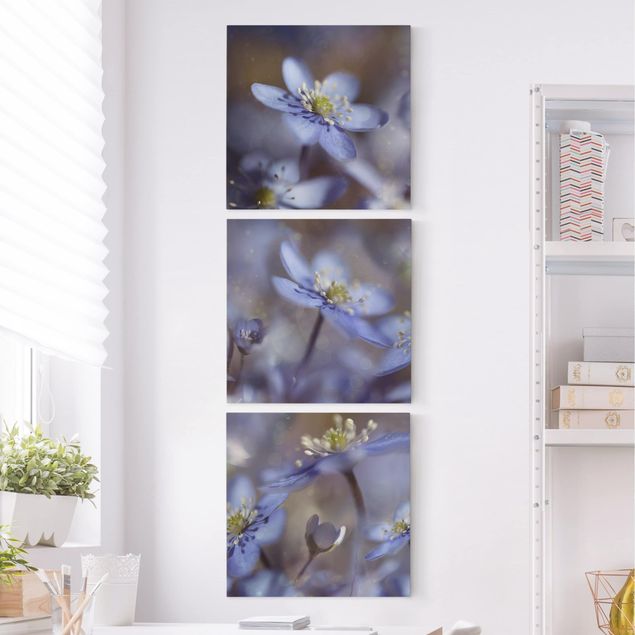 Lienzos flores Anemone In Blue