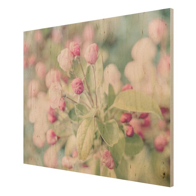 cuadros de madera vintage Apple Blossom Bokeh Light Pink
