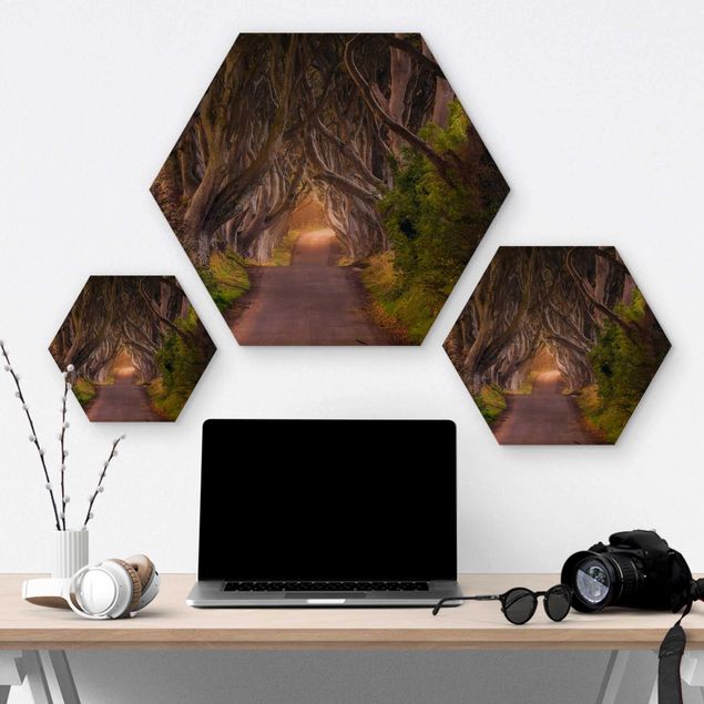 Hexagon Bild Holz - Tunnel aus Bäumen