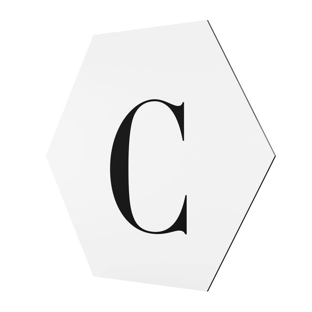 Cuadros hexagonales Letter Serif White C