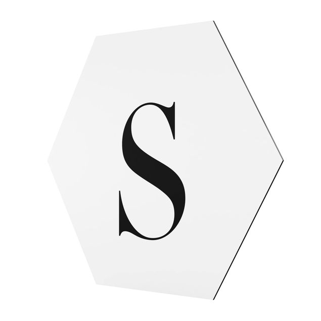 Cuadros hexagonales Letter Serif White S