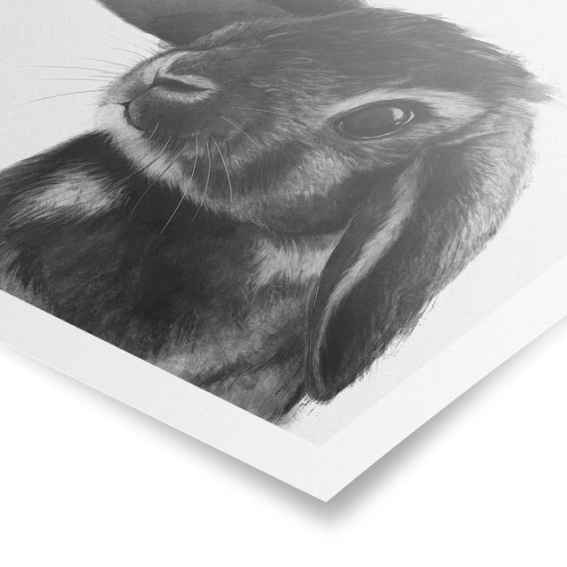Cuadros a blanco y negro Illustration Rabbit Black And White Drawing