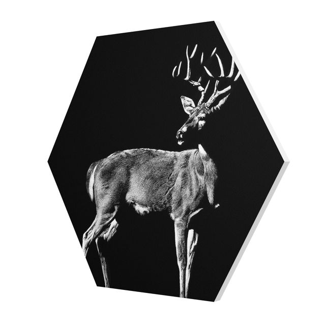 Cuadros decorativos Deer In The Dark