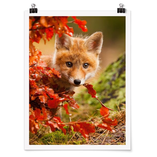 Láminas flores Fox In Autumn