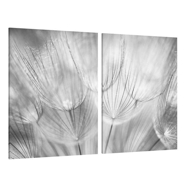 Cuadros en lienzo de flores Dandelions Macro Shot In Black And White