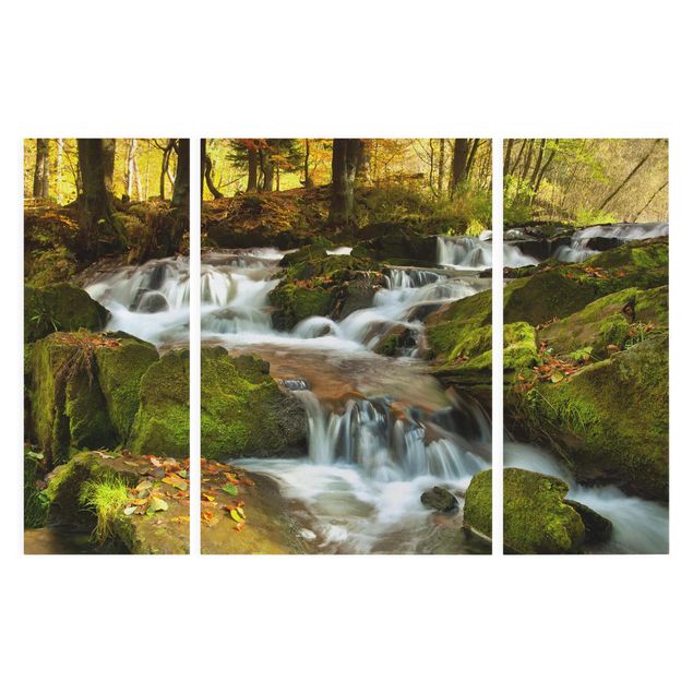 Lienzos paisajes naturales Waterfall Autumnal Forest