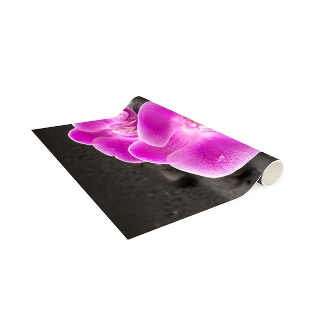 Alfombras modernas Pink Orchid Flower On Stones With Drops