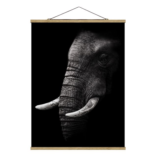 Cuadros paisajes naturaleza Dark Elephant Portrait