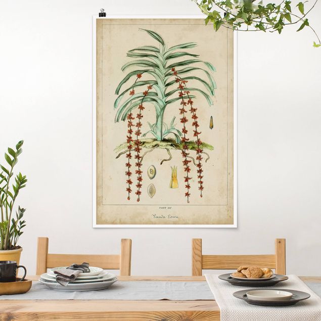 Decoración cocina Vintage Board Exotic Palms IV