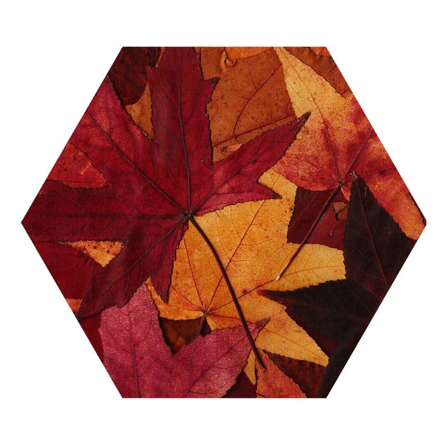 cuadros hexagonales Coloured Leaves