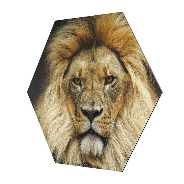 Cuadros decorativos Wisdom Of Lion