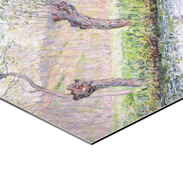 Cuadros paisajes naturaleza Claude Monet - Willow Trees Spring