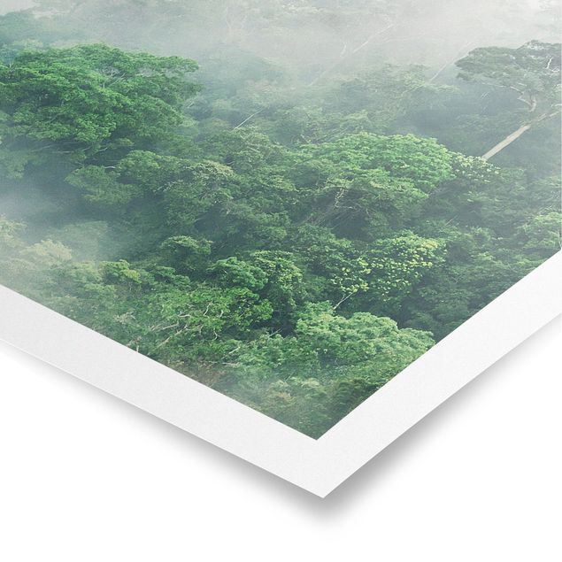 Cuadro selva tropical Jungle In The Fog