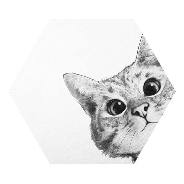 Cuadros modernos Illustration Cat Drawing Black And White