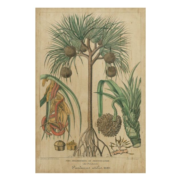 Cuadros de madera flores Vintage Board Exotic Palms I