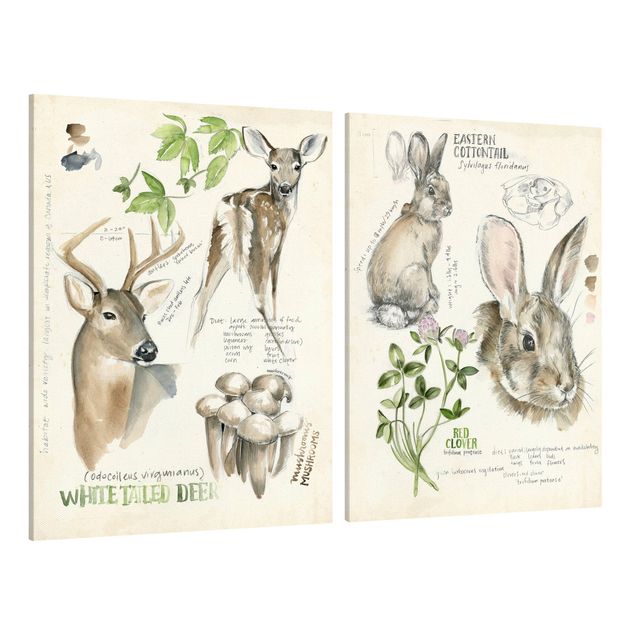 Cuadros de plantas naturales Wilderness Journal - Deer And Rabbits Set II