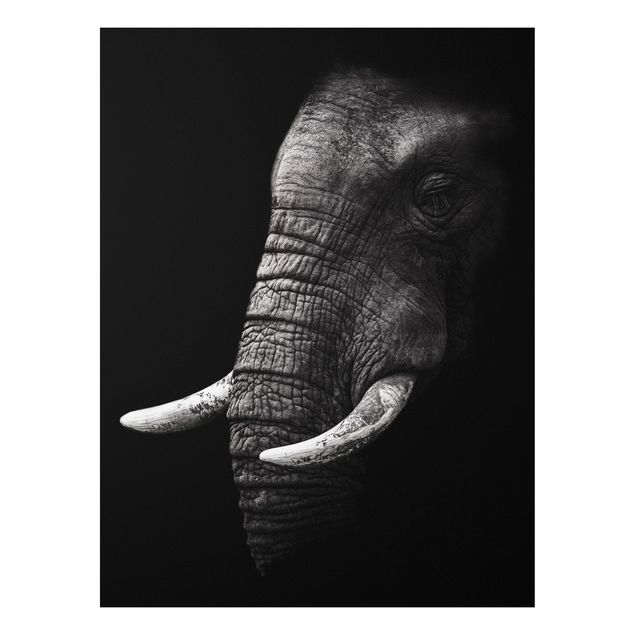 Cuadros elefantes Dark Elephant Portrait