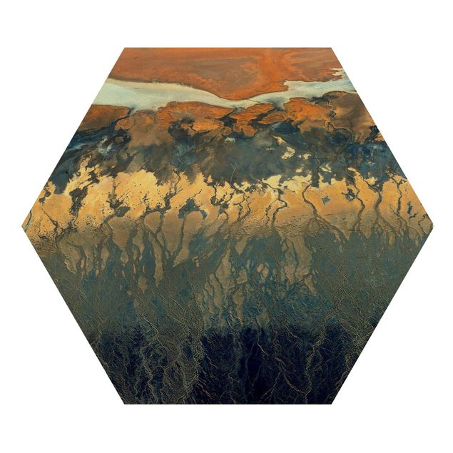 Hexagon Bild Holz - Kalifornien aus der Luft