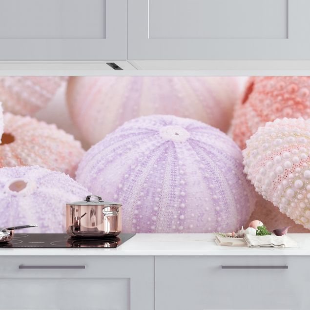 Decoración de cocinas Sea Urchin In Pastel