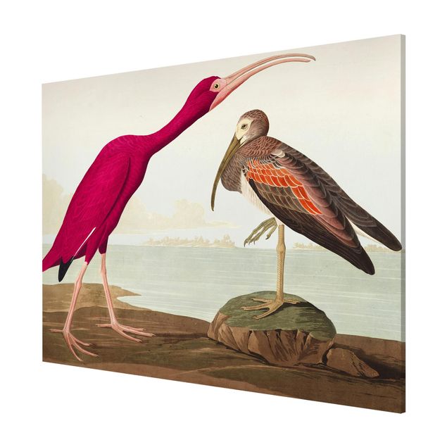 Cuadros de playa y mar Vintage Board Red Ibis