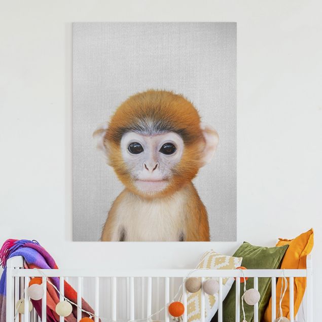 Lienzos de monos Baby Monkey Anton