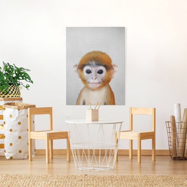 Cuadros de monos Baby Monkey Anton