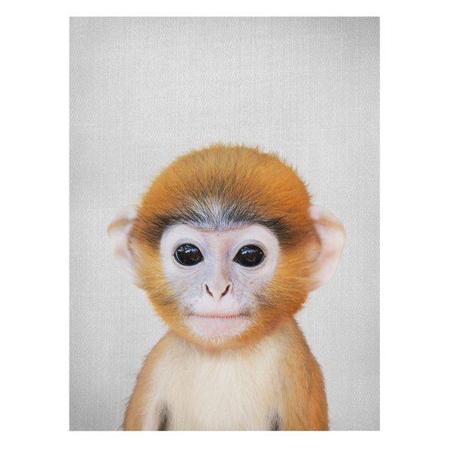 Lienzos de animales Baby Monkey Anton