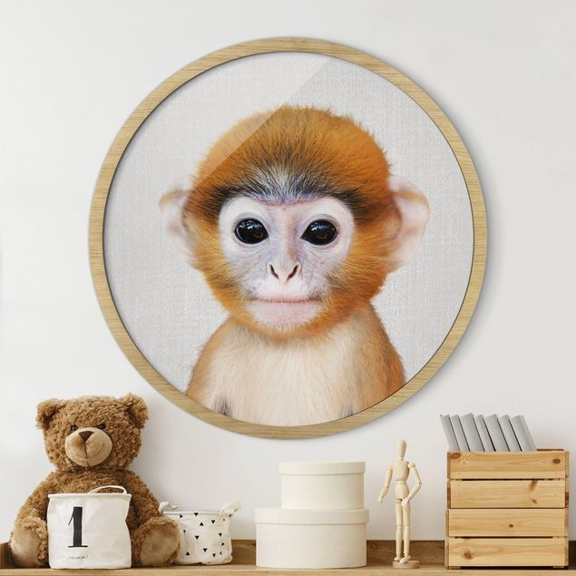 Cuadro monos Baby Monkey Anton