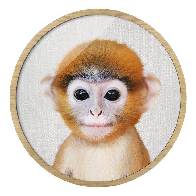 Cuadros redondos modernos Baby Monkey Anton